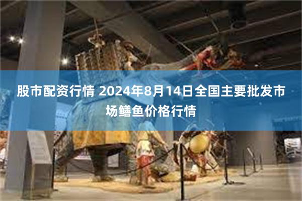 股市配资行情 2024年8月14日全国主要批发市场鳝鱼价格行情