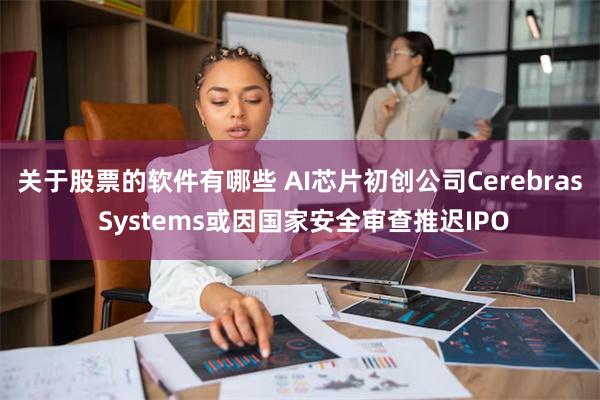 关于股票的软件有哪些 AI芯片初创公司Cerebras Systems或因国家安全审查推迟IPO