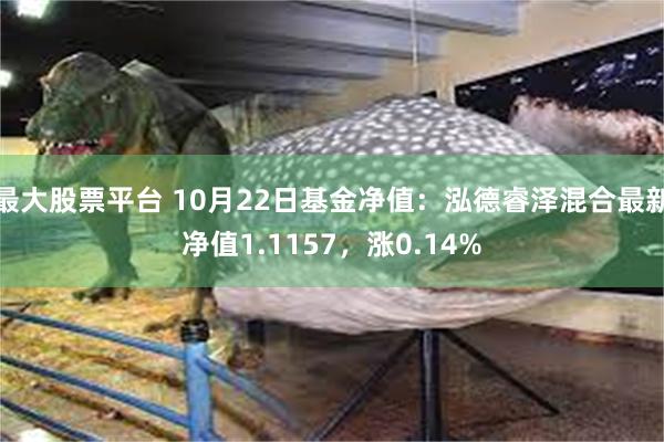 最大股票平台 10月22日基金净值：泓德睿泽混合最新净值1.1157，涨0.14%