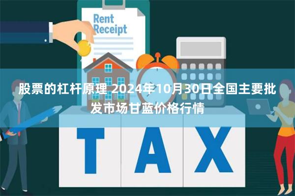 股票的杠杆原理 2024年10月30日全国主要批发市场甘蓝价格行情