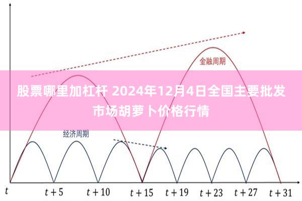 股票哪里加杠杆 2024年12月4日全国主要批发市场胡萝卜价格行情