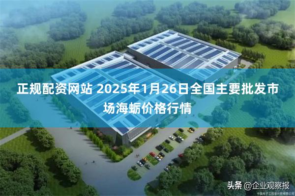 正规配资网站 2025年1月26日全国主要批发市场海蛎价格行情