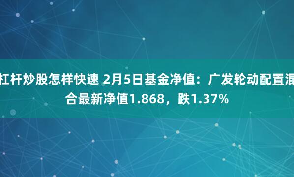 杠杆炒股怎样快速 2月5日基金净值：广发轮动配置混合最新净值1.868，跌1.37%