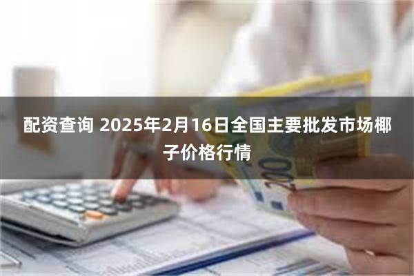 配资查询 2025年2月16日全国主要批发市场椰子价格行情